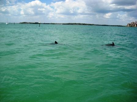 Monthly Boat Rental Marco Island Monthly Boat Rental Marco Island