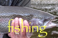 fishing-box-2